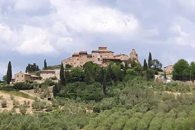 Your panoramic house in Tuscany between vineyards and olive groves.