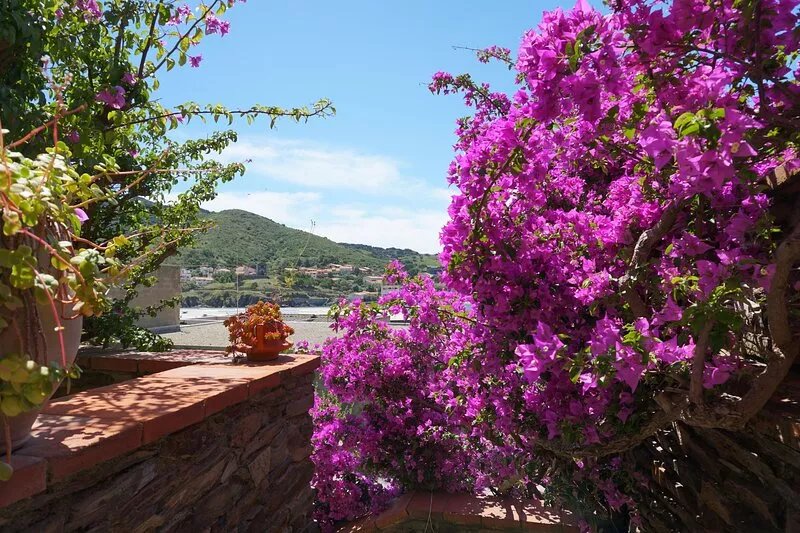 House with view of the sea and vineyards; Near coastal path and town center
