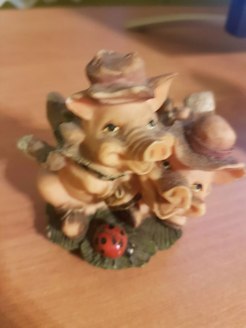 Pensjonat Fenix