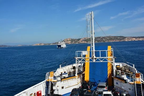 Maddalena Lines