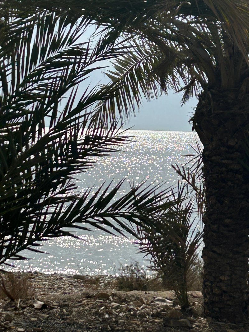 Camping Los Delfines