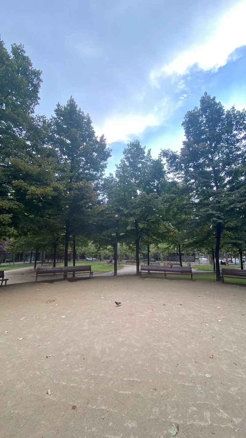 Jardines Del Campo De Sarria