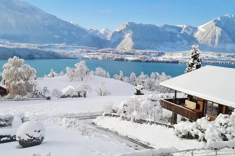 Apartment Niesenblick on Lake Thun