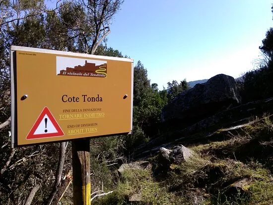 Vicinale Del Tenditoio