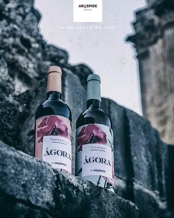 Bodegas Aruspide