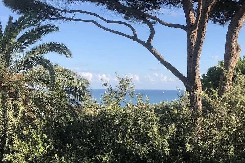 Villa surrounded by greenery with sea view, ideal for stays and events