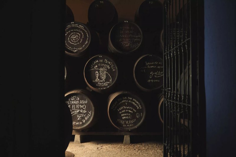 Bodega Rockera Cabrinana
