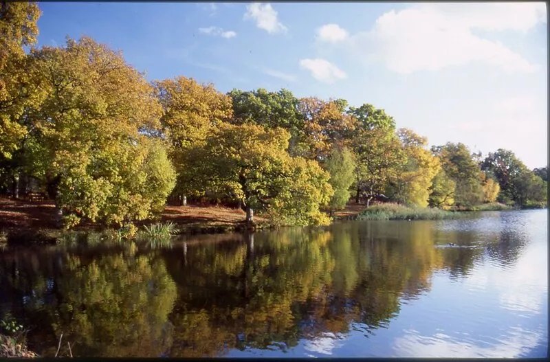 Forest of Dean Romantic & Rustic Holiday Cottage
