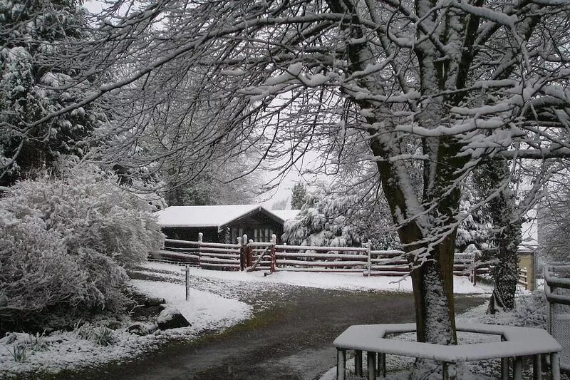 ALPINE LODGE, LLWYNAU FARM, LLANTRISANT - 12 MILES FROM CARDIFF. CRF72 8LP. RCT.