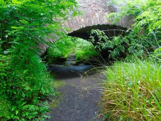 Roe Valley Country Park