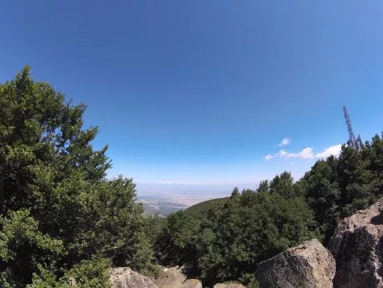 Monte Amiata Wildlife Park