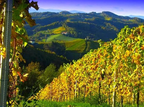 Die Sudsteirische Weinstrasse