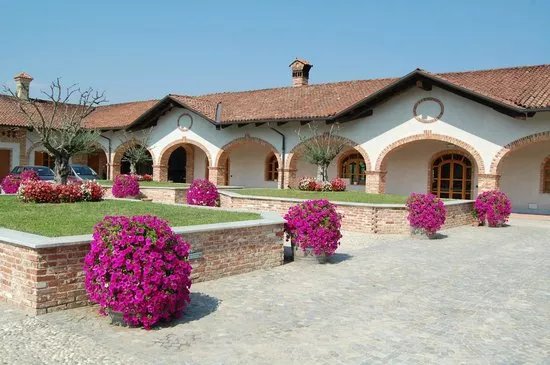 Azienda Agricola Negro Angelo & Figli