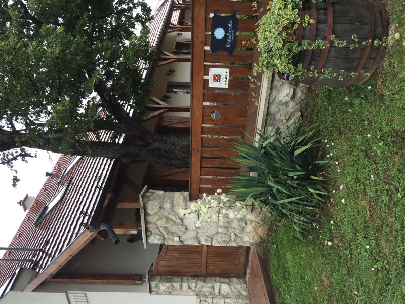 Kisfalucska Guest House