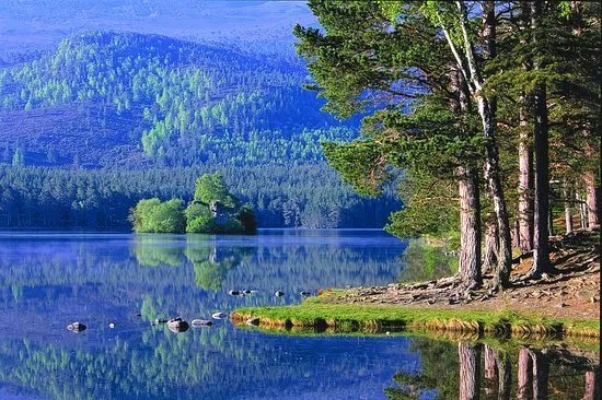 Rothiemurchus