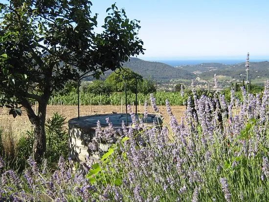 Maison des Vins de Bandol