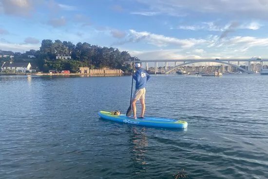 OH Paddle