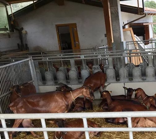 Azienda Agricola San Gregorio