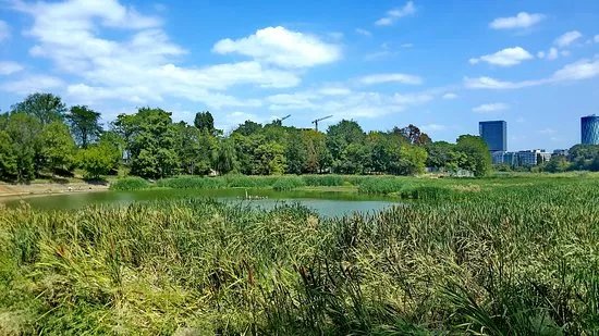 Pacul Bordei Park