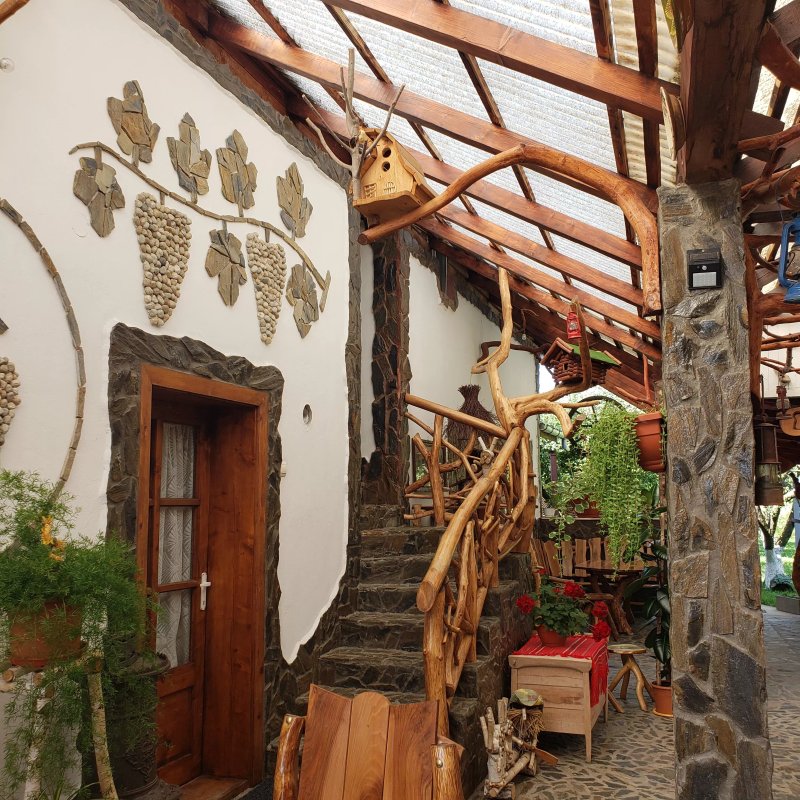 Casa Vlad