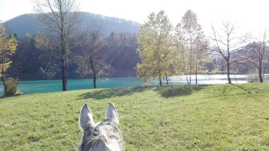 Horse Riding Club Ranch Pelance