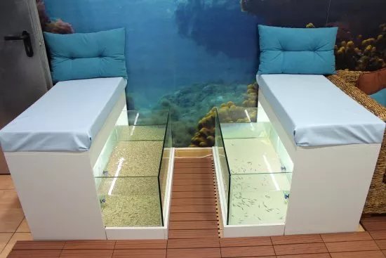 Massage By Fish Spa Canarias