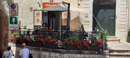MoVado
