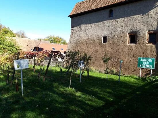 Jardin Des Vignes
