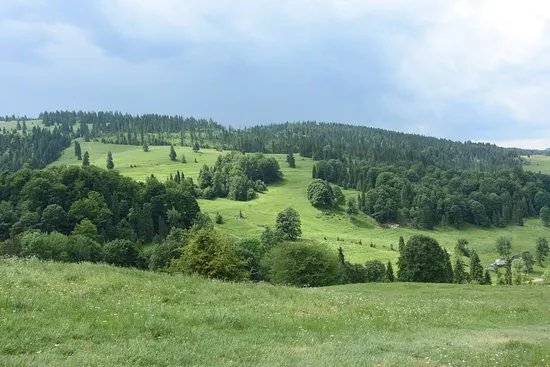 Rezerwat przyrody Biala Woda