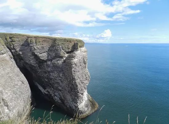 RSPB Fowlsheugh
