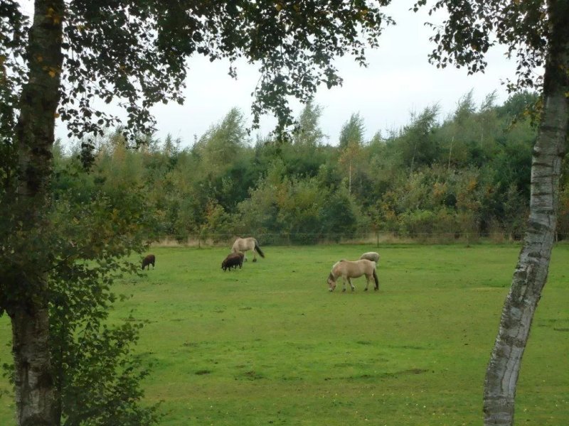 Bed & Breakfast Kalverhemsheugt