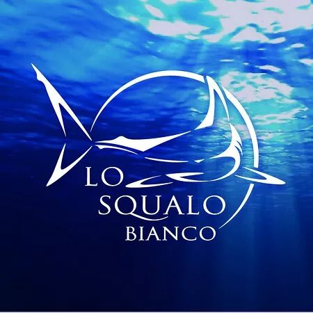 Lo Squalo Bianco Noleggio Gommoni