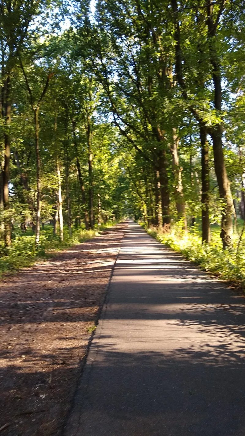 Vakantie Huisjes Duinrand Drunen