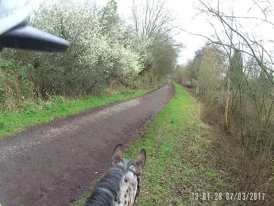 Fallowfield Loop