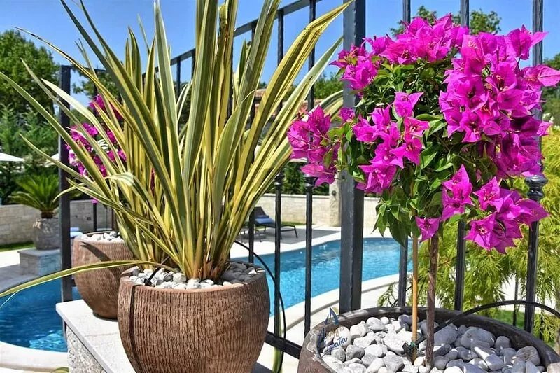 Unique beautifully designed villa with pool for groups up to 10 guests