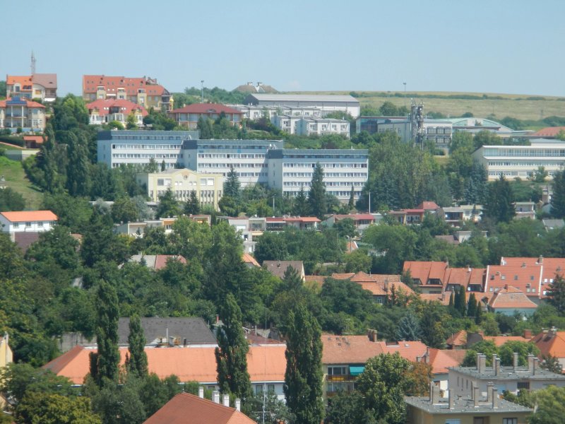 Imola Hostel