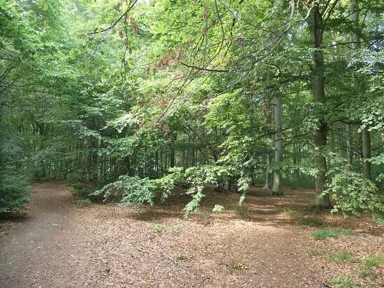 Ugnsmunnarna Naturreservat