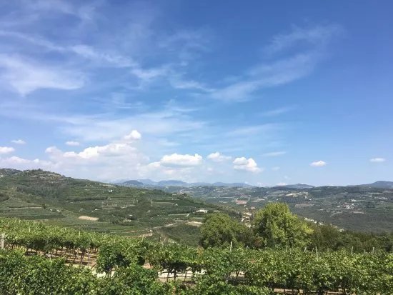 Tenuta Sant' Antonio