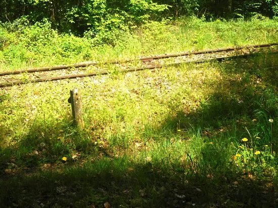 Stele du dernier train pour Buchenwald