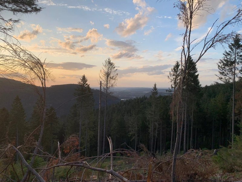 Harz-Camp