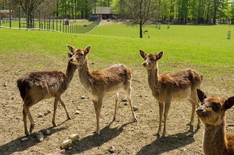 Naturerlebnis Hoxberg - Stadt Beckum