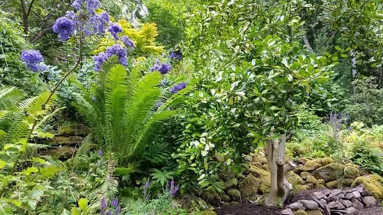 Abriachan Nurseries - The Garden On Loch Ness