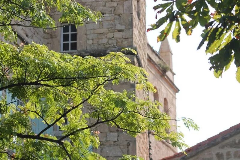 House Vigneronne charming labeled 3 cl stunning views in medieval village