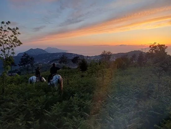 Horse Horizons (Orizzonti a cavallo)