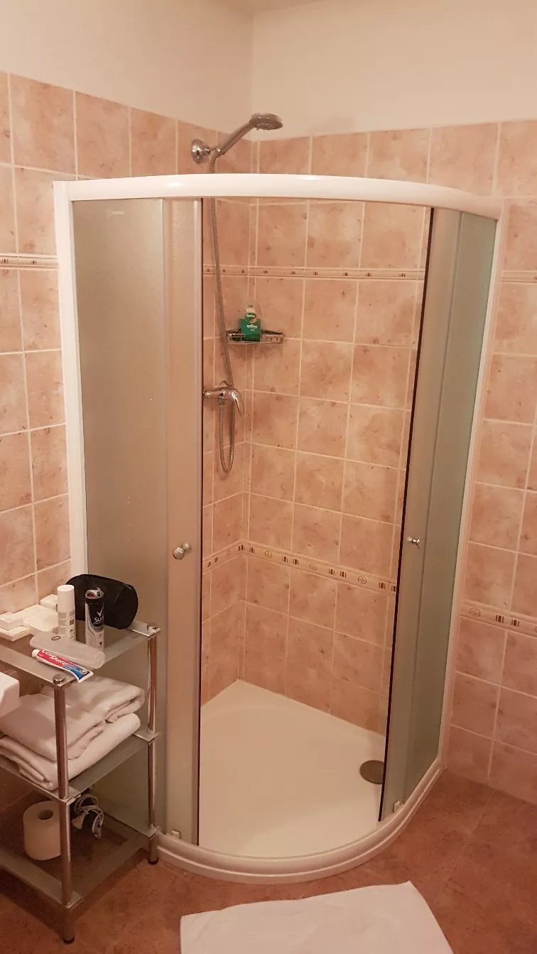 Hotel U Zlateho lva