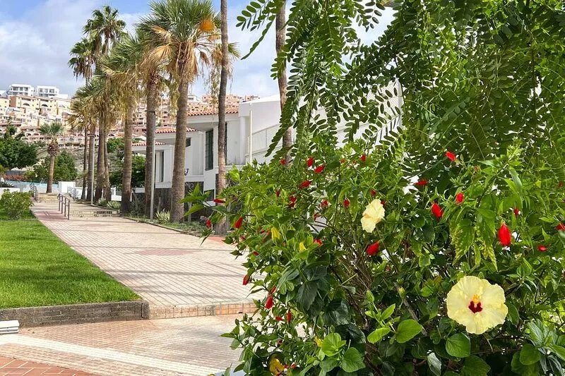 2- Bedroom And 2 Bathroom beautiful Apartment with sea views, free wifi