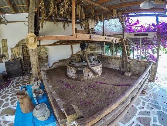 Spiridi Olive Oil Farm