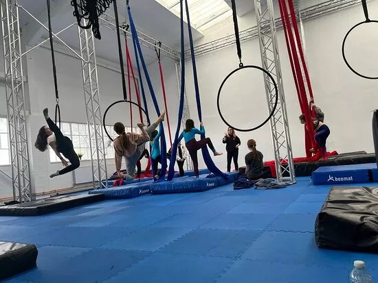 Pole & Aerial Fit Circus Academy