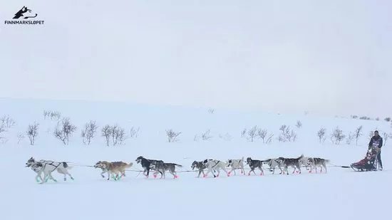 Alaskan Team