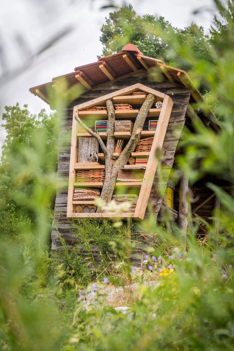 Bienen- Erlebnisgarten Lagd